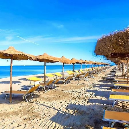 Regina Del Mare Holiday Apartments Tirrenia Zewnętrze zdjęcie