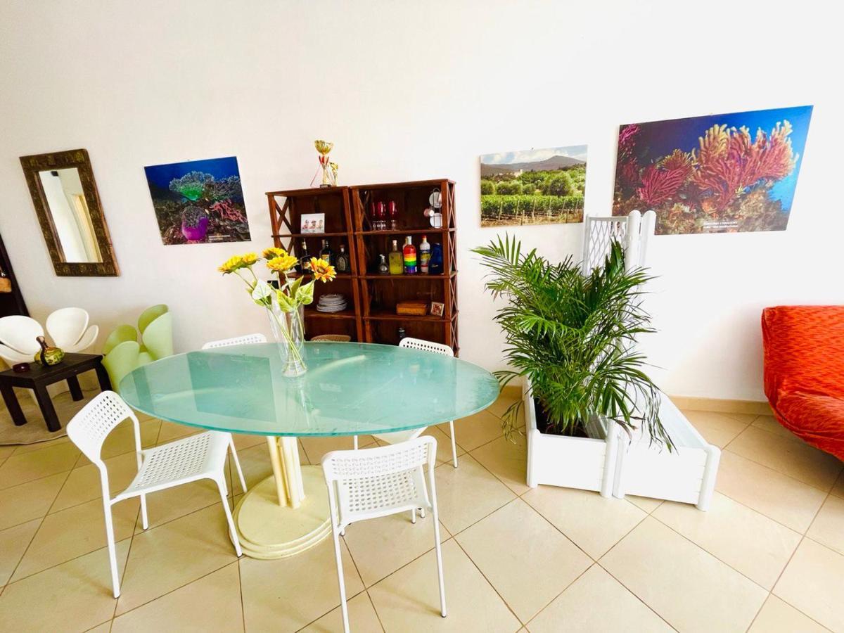 Regina Del Mare Holiday Apartments Tirrenia Zewnętrze zdjęcie