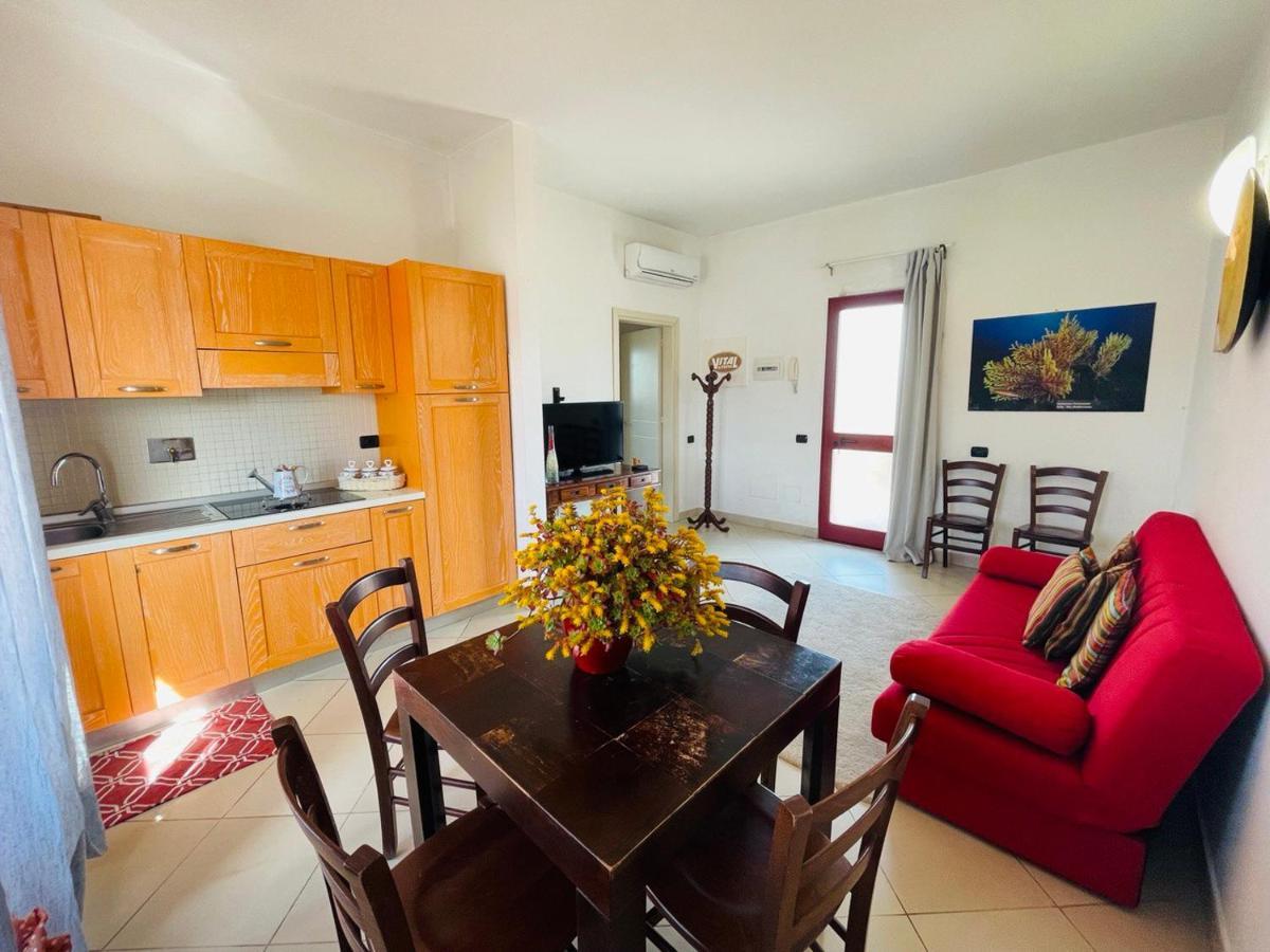 Regina Del Mare Holiday Apartments Tirrenia Zewnętrze zdjęcie