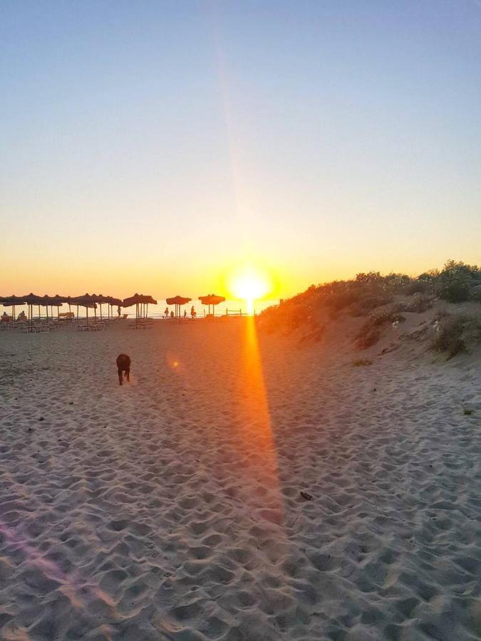 Regina Del Mare Holiday Apartments Tirrenia Zewnętrze zdjęcie